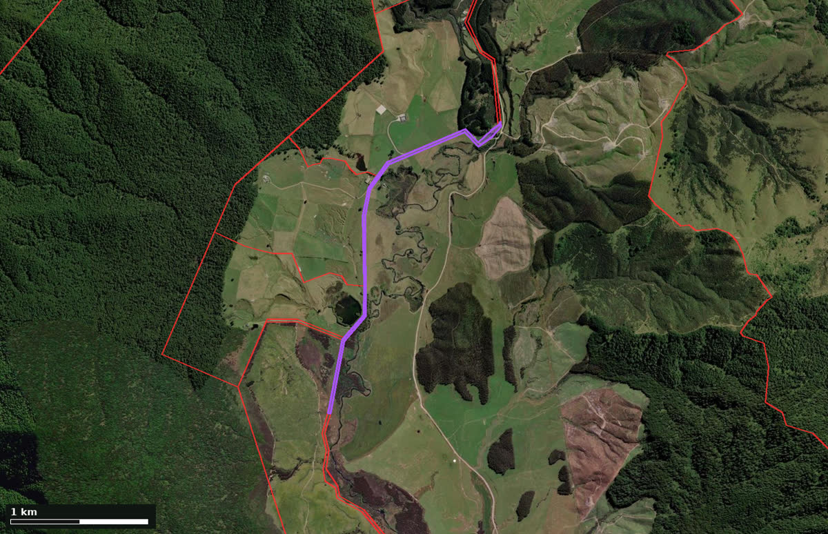 Satellite view of a valley in Taupo District. A purple corridor runs down cleared farmland with dense dark native forest rising on both sides; red lines mark the private property boundaries, and a scale bar shows one kilometre.
